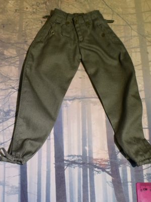 Dragon In Dreams DID 1/6 Scale WWII German Trousers from Peter D80100