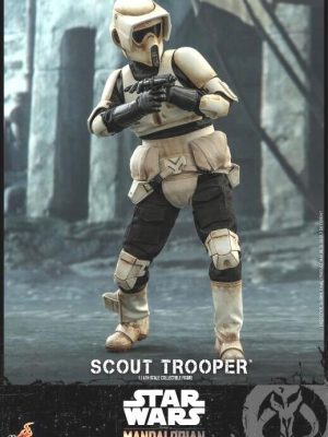 1/6 Scale Hot Toys Star Wars The Mandalorian Scout Trooper TMS016 HT906339