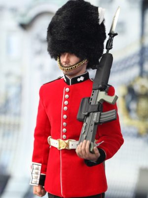 DRAGON IN DREAMS DID 1/6 SCALE MODERN BRITISH THE GUARDS COLDSTREAM IRISH GRENADIER WELSH SCOTS K80134