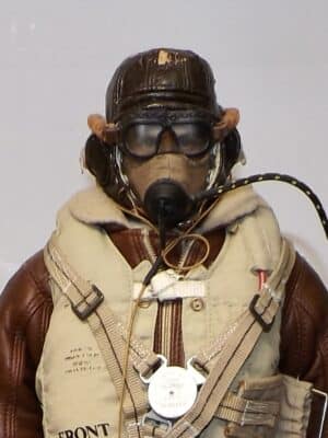 1/6 Scale Loose As Pictured Custom WWII British Pilot / Air Crew For DID Dragon Figures R349