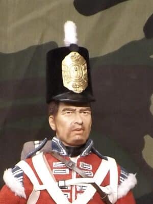 1/6 Scale Dragon In Dreams DID Napoleonic British Bruce Line Infantry Regiment Royal Scots