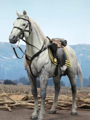 **Coming Soon** 1/6 Scale Dragon In Dreams DID U.S. Civil War White War Horse Standing E60086